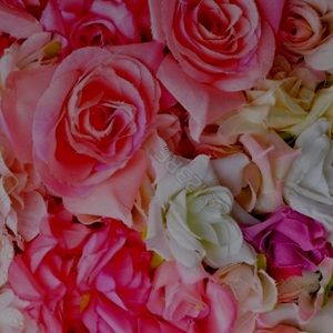 Meet your Posher, Carson